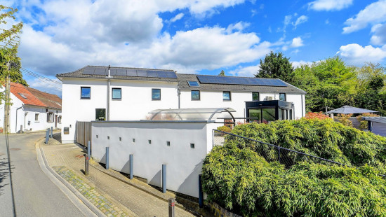 Hengstenberg - 20 - - 3090