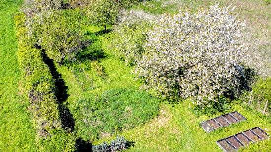 Vossemberg - 31 - - 3080