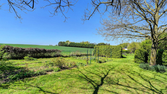 Vossemberg - 31 - - 3080