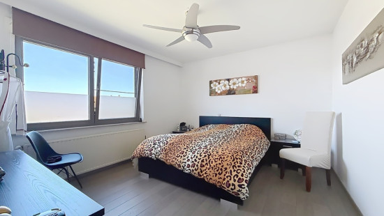 Nieuwstadpoort - 50 - - 3960