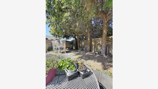 Nieuwstadpoort - 50 - - 3960