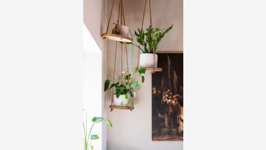 Bergstraat - 3 - - 9170