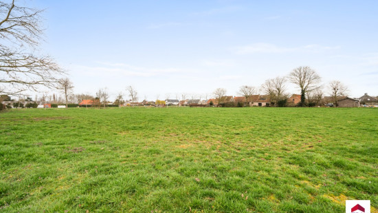 Haringgat - 10+ - - 8340