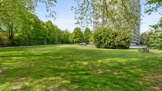 Koningin Fabiolapark - 304 - - 9100