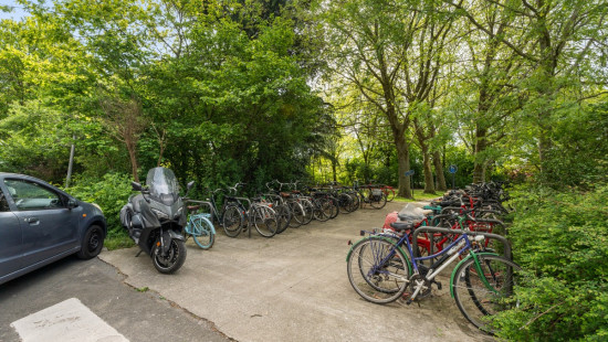 Koningin Fabiolapark - 304 - - 9100