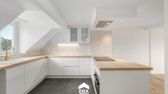 Bodegemstraat - 16 - - 1701