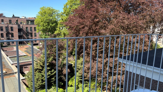Mechelsesteenweg - 198 - - 2018
