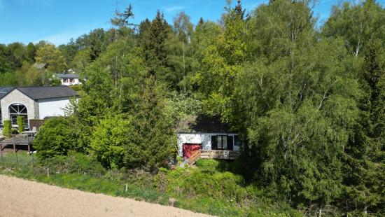 Le Concy - 25 - - 6987