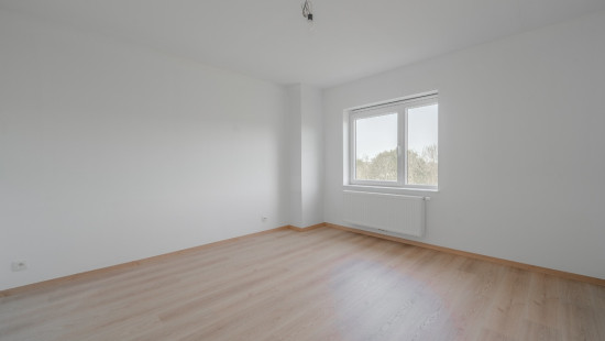Rue Dieudonnée Morel - 29 - - Lot 53 - 5001