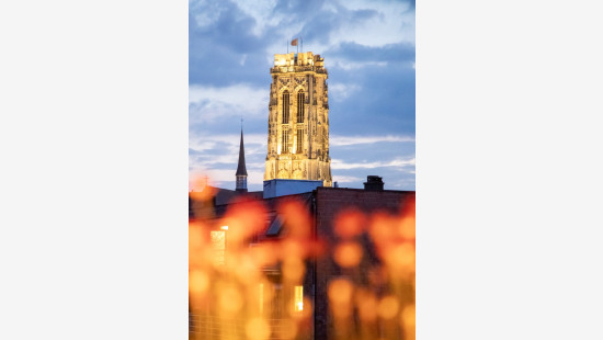 Paardenstraatje - 35 - 301 - 2800