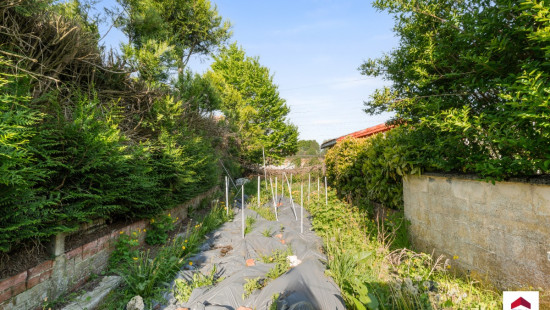 Boomkwekerijstraat - 56 - - 1601