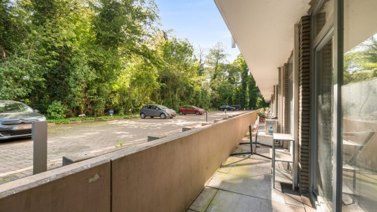 Groenenborgerlaan - 22 - 10 - 2610