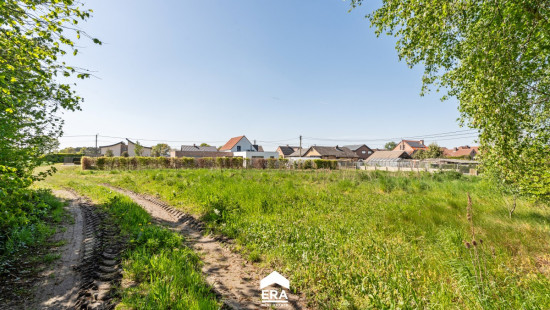Houtestraat - 12 - - 3990