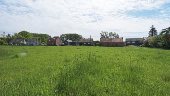 Zoot ( weide) - 23A - tegenover - 3202