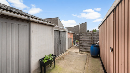 Wijnveld - 104 - - 9112