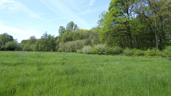 Zoot ( weide) - 23A - tegenover - 3202