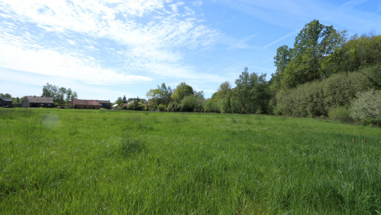 Zoot ( weide) - 23A - tegenover - 3202