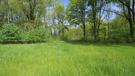 Zoot (Bosgrond) - 23A - tegenover - 3202