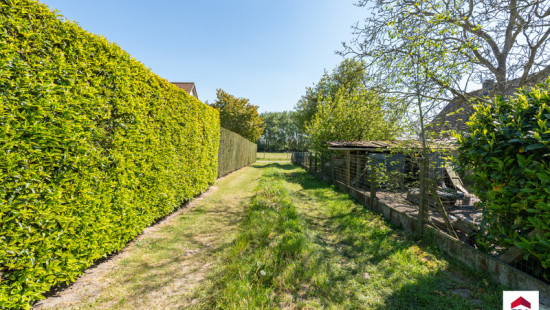 Damweg - 35+ - - 8340