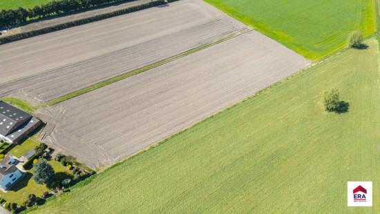 Damweg - 35+ - - 8340