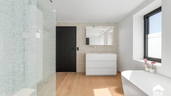 Paul Snyersstraat - 12 - - 3890