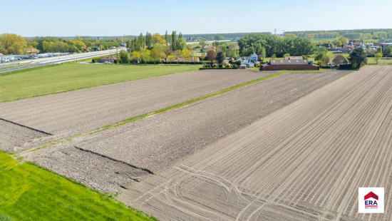 Damweg - 35+ - - 8340