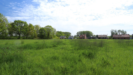 Zoot ( weide) - 23A - tegenover - 3202