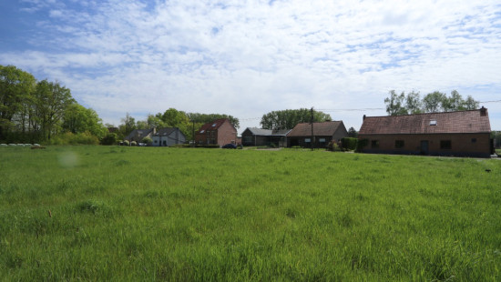 Zoot ( weide) - 23A - tegenover - 3202