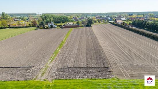 Damweg - 35+ - - 8340