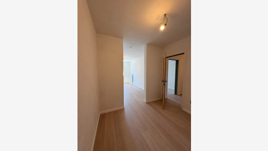 Rue de la Cortewilde - 26 - B - 7781