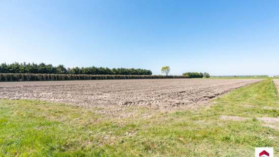 Damweg - 35+ - - 8340