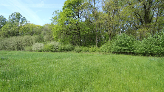 Zoot ( weide) - 23A - tegenover - 3202