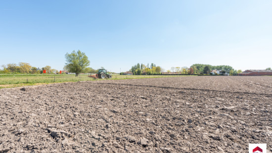 Damweg - 35+ - - 8340