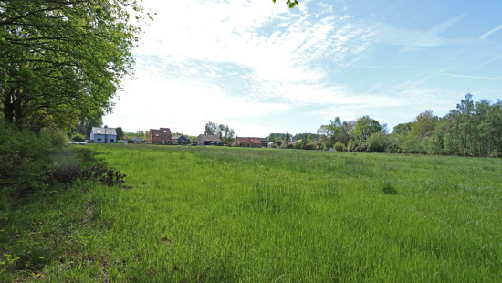 Zoot ( weide) - 23A - tegenover - 3202