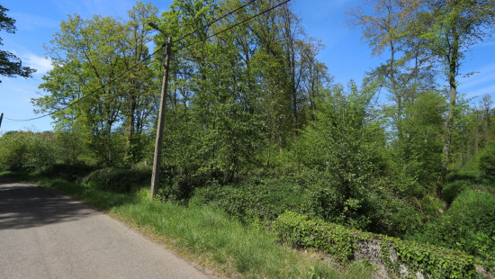 Zoot (Bosgrond) - 23A - tegenover - 3202