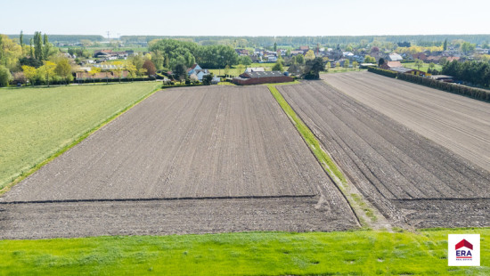 Damweg - 35+ - - 8340