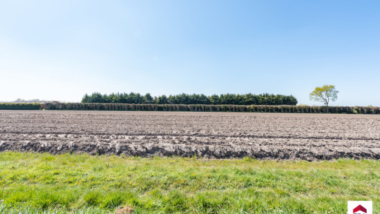 Damweg - 35+ - - 8340