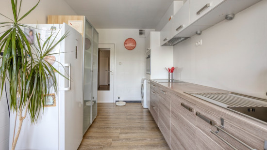 Ringlaan - 28D - - 3560