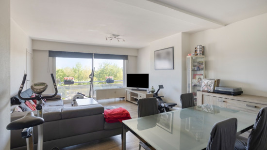 Ringlaan - 28D - - 3560