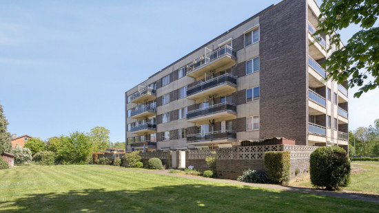 Ringlaan - 28D - - 3560
