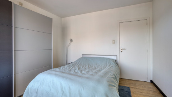 Ringlaan - 28D - - 3560