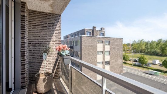 Ringlaan - 28D - - 3560