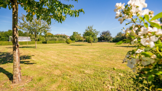 Omselweg - 56 - - 3960