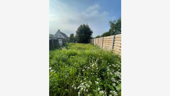 Douanestraat - 6 - - 8958
