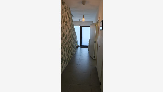 Kasteelstraat - 10C - - 8380