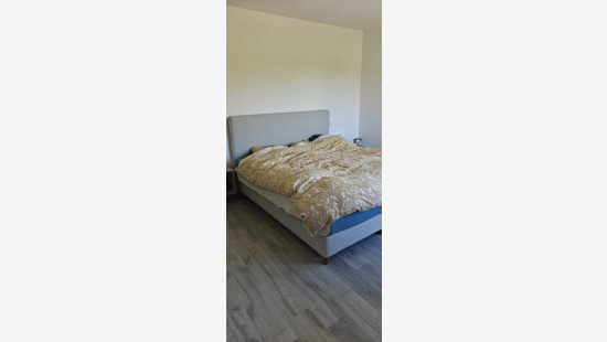Kasteelstraat - 10C - - 8380