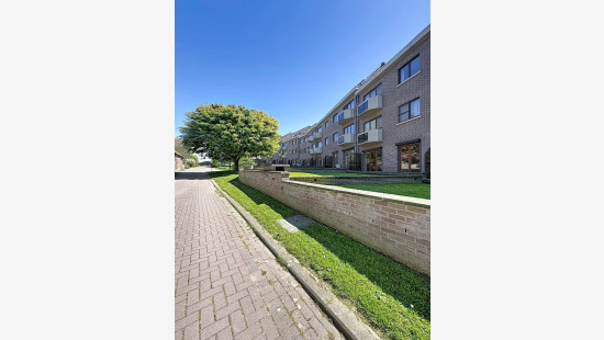 Pastoor Woutersstraat - 20 - 4 - 1850
