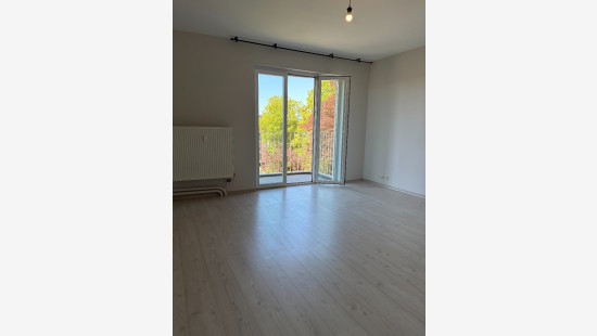 Mechelsesteenweg - 198 - - 2018