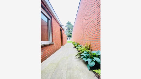 Ommegangstraat - 26 - - 8940