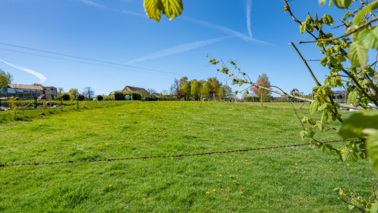 Vaux - 161 - - 6600